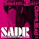 （ゲーム・ミュージック） いとうかなこ ファンタズム ｎａｏ アフィリア・サーガ・イースト「Ｓｃｉｅｎｃｅ　Ａｄｖｅｎｔｕｒｅ　Ｄａｎｃｅ　Ｒｅｍｉｘ「ＣＨＡＯＳ；ＨＥＡＤ」「ＳＴＥＩＮＳ；ＧＡＴＥ」」