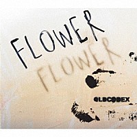 ＯＬＤＣＯＤＥＸ「 ＦＬＯＷＥＲ」