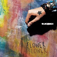 ＯＬＤＣＯＤＥＸ「 ＦＬＯＷＥＲ」