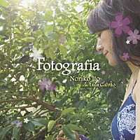 伊藤ノリコ「 Ｆｏｔｏｇｒａｆｉａ」