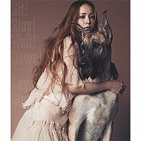 Ｎａｍｉｅ　Ａｍｕｒｏ「 Ｓｉｔ！　Ｓｔａｙ！　Ｗａｉｔ！　Ｄｏｗｎ！／Ｌｏｖｅ　Ｓｔｏｒｙ」