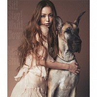 Ｎａｍｉｅ　Ａｍｕｒｏ「 Ｓｉｔ！　Ｓｔａｙ！　Ｗａｉｔ！　Ｄｏｗｎ！／Ｌｏｖｅ　Ｓｔｏｒｙ」