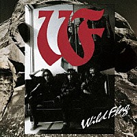 ＷＩＬＤ　ＦＬＡＧ「 ＷＩＬＤ　ＦＬＡＧ」