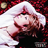 Ａｃｉｄ　Ｂｌａｃｋ　Ｃｈｅｒｒｙ「 『２０１２』」