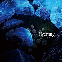 ａ　ｃｒｏｗｄ　ｏｆ　ｒｅｂｅｌｌｉｏｎ「 Ｈｙｄｒａｎｇｅａ」