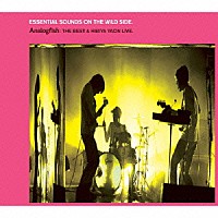 Ａｎａｌｏｇｆｉｓｈ「 ＥＳＳＥＮＴＩＡＬ　ＳＯＵＮＤＳ　ＯＮ　ＴＨＥ　ＷＩＬＤ　ＳＩＤＥ．　Ａｎａｌｏｇｆｉｓｈ：ＴＨＥ　ＢＥＳＴ　＆　ＨＩＢＩＹＡ　ＹＡＯＮ　ＬＩＶＥ．」