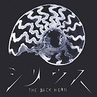 ＴＨＥ　ＢＡＣＫ　ＨＯＲＮ「 シリウス」