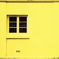 ＷＨＩＴＥ　ＡＳＨ「 Ｋｉｄｄｉｅ」