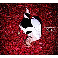 Ａｃｉｄ　Ｂｌａｃｋ　Ｃｈｅｒｒｙ 「『２０１２』」