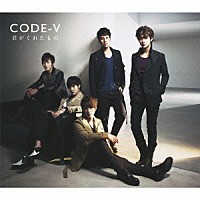 ＣＯＤＥ－Ｖ「 君がくれたもの」