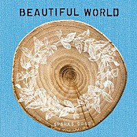 ＳＰＡＲＫＳ　ＧＯ　ＧＯ「 ＢＥＡＵＴＩＦＵＬ　ＷＯＲＬＤ」