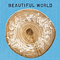 ＳＰＡＲＫＳ　ＧＯ　ＧＯ「 ＢＥＡＵＴＩＦＵＬ　ＷＯＲＬＤ」