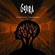 Ｇｏｊｉｒａ「ランファン・ソヴァージュ～野性の少年～」