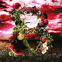 ｖｉｓｔｌｉｐ「 Ｂ」