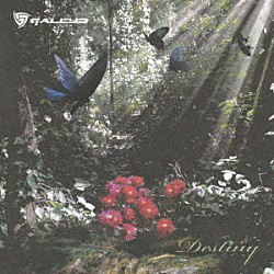 ＧＡＬＥＹＤ「Ｄｅｓｔｉｎｙ」