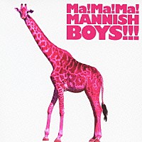 ＭＡＮＮＩＳＨ　ＢＯＹＳ「 Ｍａ！Ｍａ！Ｍａ！ＭＡＮＮＩＳＨ　ＢＯＹＳ！！！」