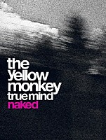 ＴＨＥ　ＹＥＬＬＯＷ　ＭＯＮＫＥＹ「 ＴＲＵＥ　ＭＩＮＤ　“ＮＡＫＥＤ”」