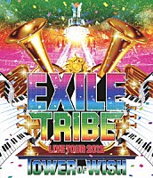 ＥＸＩＬＥ「 ＥＸＩＬＥ　ＴＲＩＢＥ　ＬＩＶＥ　ＴＯＵＲ　２０１２　ＴＯＷＥＲ　ＯＦ　ＷＩＳＨ」