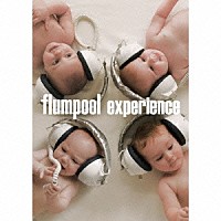 ｆｌｕｍｐｏｏｌ「 ｅｘｐｅｒｉｅｎｃｅ　～コレクターズエディション」