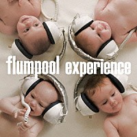 ｆｌｕｍｐｏｏｌ「 ｅｘｐｅｒｉｅｎｃｅ」