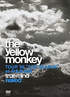 ＴＨＥ　ＹＥＬＬＯＷ　ＭＯＮＫＥＹ「 ＴＯＵＲ　’９６　“ＦＯＲ　ＳＥＡＳＯＮ”　ａｔ　日本武道館　ｔｒｕｅ　ｍｉｎｄ　ｎａｋｅｄ」