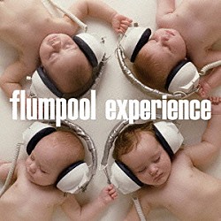 ｆｌｕｍｐｏｏｌ「ｅｘｐｅｒｉｅｎｃｅ」