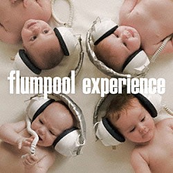 ｆｌｕｍｐｏｏｌ「ｅｘｐｅｒｉｅｎｃｅ」