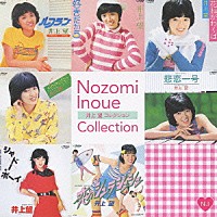 井上望「 井上望　コレクション」