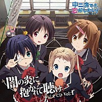 （ラジオＣＤ）「 ラジオＣＤ　中二病でも恋がしたい！～闇の炎に抱かれて聴け～　Ｖｏｌ．１」