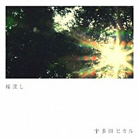 宇多田ヒカル 「桜流し」