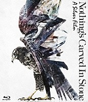 Ｎｏｔｈｉｎｇ’ｓ　Ｃａｒｖｅｄ　Ｉｎ　Ｓｔｏｎｅ「 Ａ　Ｓｉｌｖｅｒ　Ｆｉｌｍ」