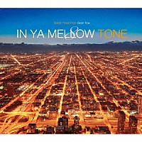 （Ｖ．Ａ．）「 ＩＮ　ＹＡ　ＭＥＬＬＯＷ　ＴＯＮＥ　８」