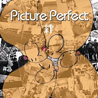 Ｐｉｃｔｕｒｅ　Ｐｅｒｆｅｃｔ「 絆」