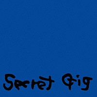 甲斐バンド「 Ｓｅｃｒｅｔ　Ｇｉｇ」