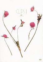 清春「 ＣＬＩＰＳ　Ⅱ」