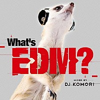 ＤＪ　ＫＯＭＯＲＩ「 Ｗｈａｔ’ｓ　ＥＤＭ？　ＭＩＸＥＤ　ＢＹ　ＤＪ　ＫＯＭＯＲＩ」