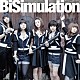 ＢｉＳ「ＢｉＳｉｍｕｌａｔｉｏｎ」