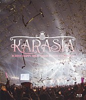 ＫＡＲＡ「 ＫＡＲＡＳＩＡ　２０１３　ＨＡＰＰＹ　ＮＥＷ　ＹＥＡＲ　ｉｎ　ＴＯＫＹＯ　ＤＯＭＥ」