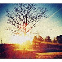 Ｌ．Ｅ．Ｄ．「 ｉｎ　ｍｏｔｉｏｎ」