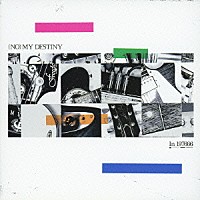 Ｉｎ　１９７６６６「 （ＮＯ）　ＭＹ　ＤＥＳＴＩＮＹ」