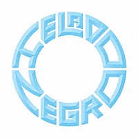 エラド・ネグロ「 インビジブル　ライフ」