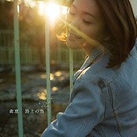 森恵「 路上の鳥」