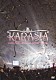 ＫＡＲＡ「ＫＡＲＡＳＩＡ　２０１３　ＨＡＰＰＹ　ＮＥＷ　ＹＥＡＲ　ｉｎ　ＴＯＫＹＯ　ＤＯＭＥ」