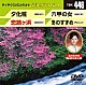 （カラオケ） 香西かおり 永井みゆき 出光仁美 戸川よし乃「音多Ｓｔａｔｉｏｎ」