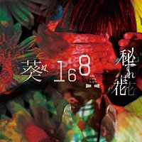 葵－１６８－「 秘すれば花」