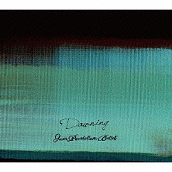 ９ｍｍ　Ｐａｒａｂｅｌｌｕｍ　Ｂｕｌｌｅｔ「Ｄａｗｎｉｎｇ」