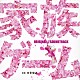 本多俊之「フジテレビ系ドラマ　家族ゲーム　オリジナル・サウンドトラック」