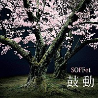 ＳＯＦＦｅｔ「 鼓動」