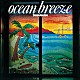 高中正義「ＯＣＥＡＮ　ＢＲＥＥＺＥ」