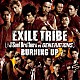 ＥＸＩＬＥ　ＴＲＩＢＥ「ＢＵＲＮＩＮＧ　ＵＰ」